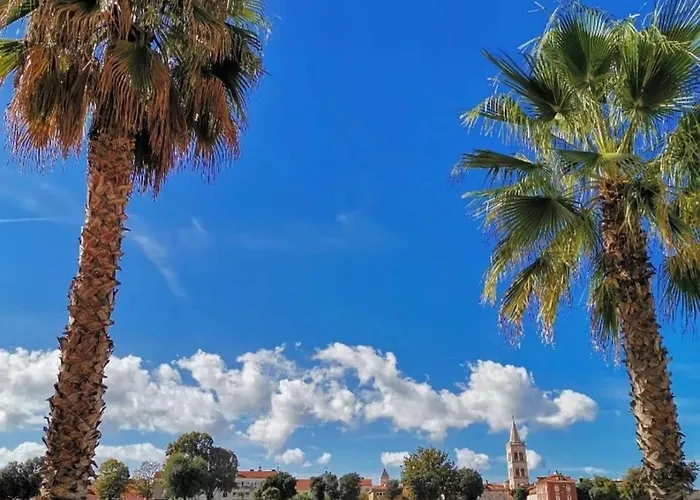 Kraljic * Ζαντάρ